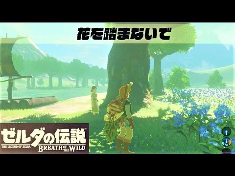 花を踏まないで オコバのイベント 攻略 ゼルダの伝説 ブレスオブザワイルド Watch Out For The Flowers Zelda Breath Of The Wild Youtube