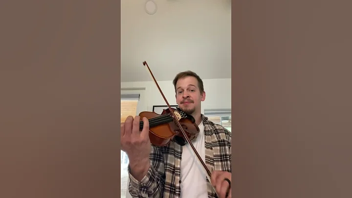 People asked me where I got it…link in comments 🎻 #violin #giftideas #fiddle