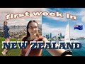 My first week in new zealand   auckland bank account  more  nz working holiday ep 1