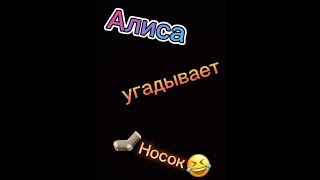 Алиса угадывает Носок 🤣 #ржака #смешно #ржомба