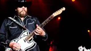 Hank Williams jr. "If You Don't Like Hank Williams" chords