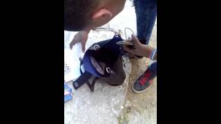 Episode 2 Akber Sere9 Fi Tounes Ili Ye Choufo Ideklari 3Lih 197