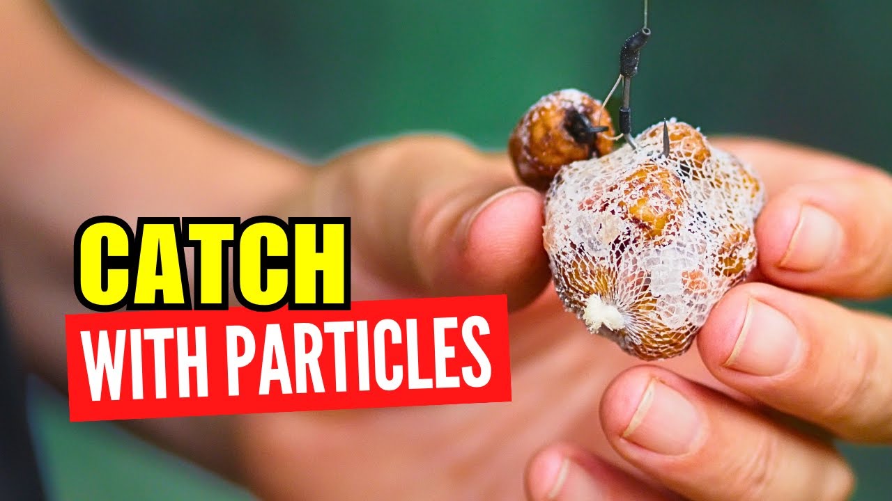 🔥 Раскройте силу частиц: конопля, кукуруза, семена и тигры