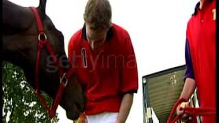 Prince Harry, Prince Charles, Prince William  After Polo Interview