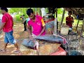 Never seen 18kg big catla fish cutting by speed fish cutting expert show skills sri lanka