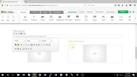 ZOHO Website - Change Home Page Content