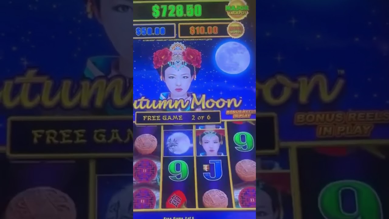 Autumn Moon Bonus Video 👩🏻🪭🥢🥮🌑 