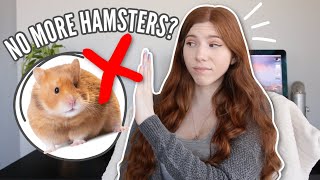No more hamsters? | Q&A