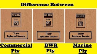 Commercial Ply vs BWR Ply vs Marine Ply