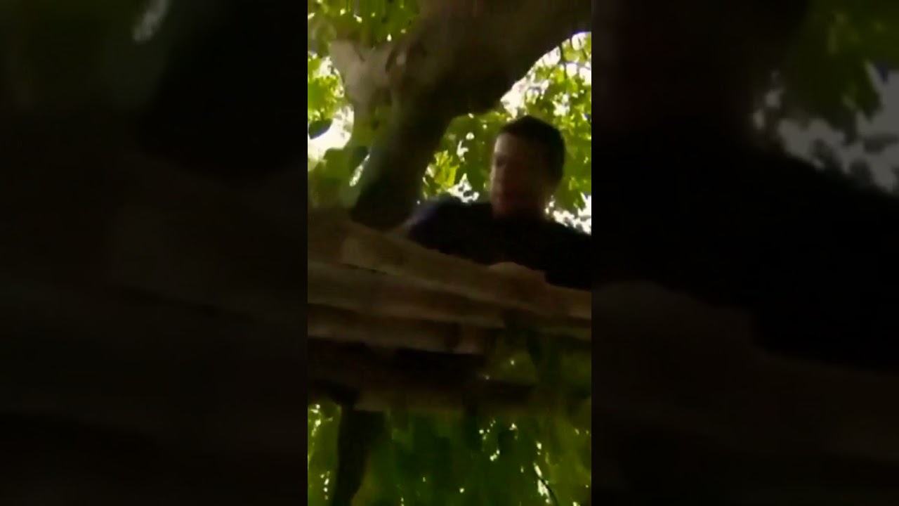 MAN VS WILD #SURVIVAL #BEARGRYLLS #SHORTS