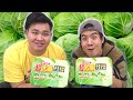早食い ペヤングやきそば マシマシキャベツ が大量すぎてビビった 早食い ペヤングやきそば マシマシキャベツ が大量すぎてビビった