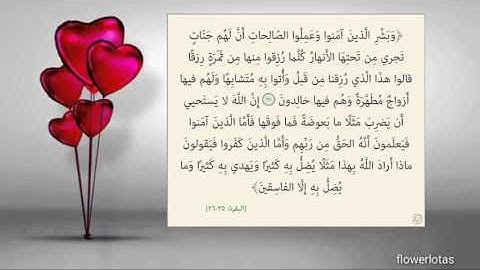 سورة البقرة من 25 الى 26