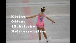 Kür Eiskunstlaufen Leni Louisa Kleine Offene Sächsische Meisterschaften 2019