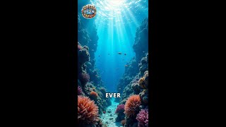 Dive Into Ocean Conservation: Protecting Our Blue Planet