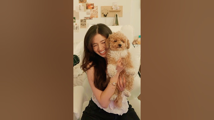 Pokimane’s New Roomate 🐶