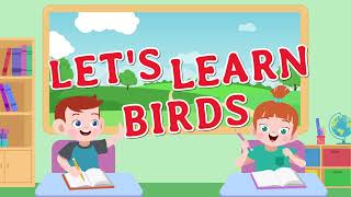 Let's Learn About Birds - Learning videos |  Grow every day with Pingu Zone