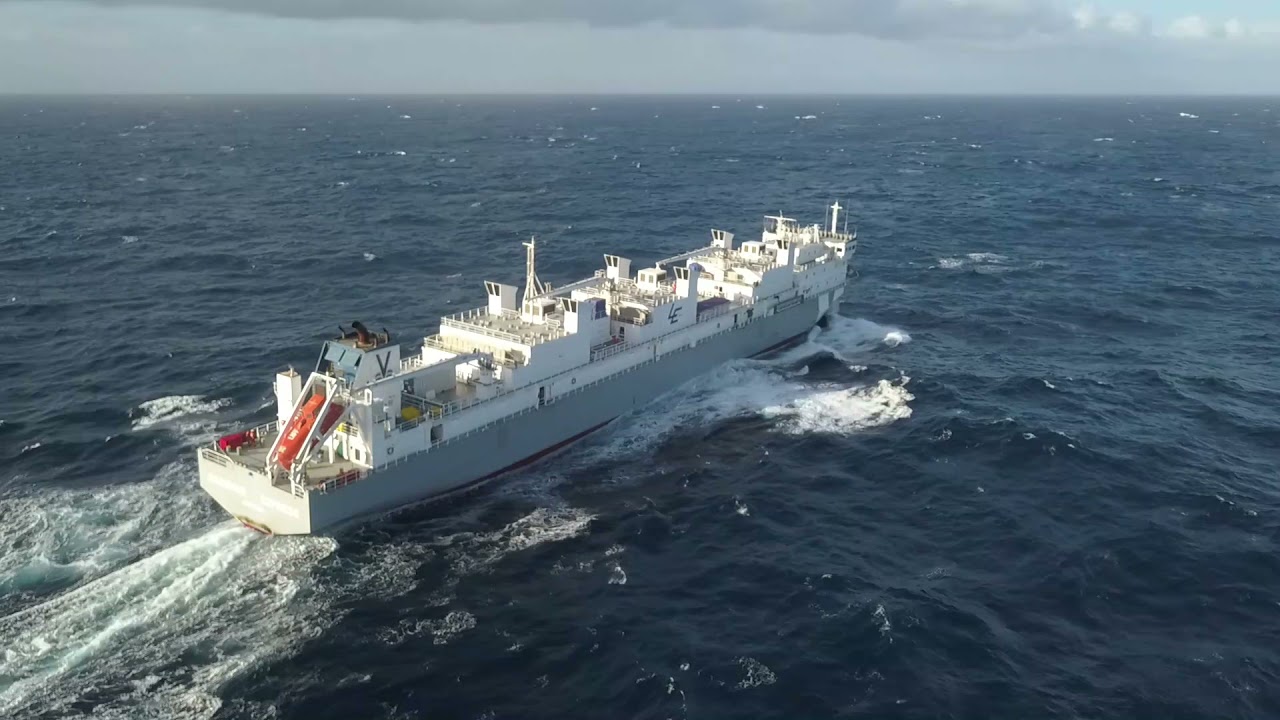 MV Brahman Express ( Livestock Express ship)