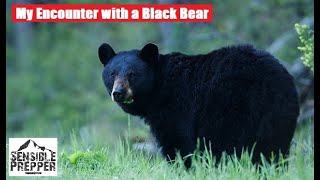 Surviving Encounters with Black Bears