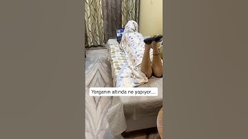 Kod yazmak hiç bu kadar keyifli olmamıştı!#software #developerlife #codingfun #techie #ai