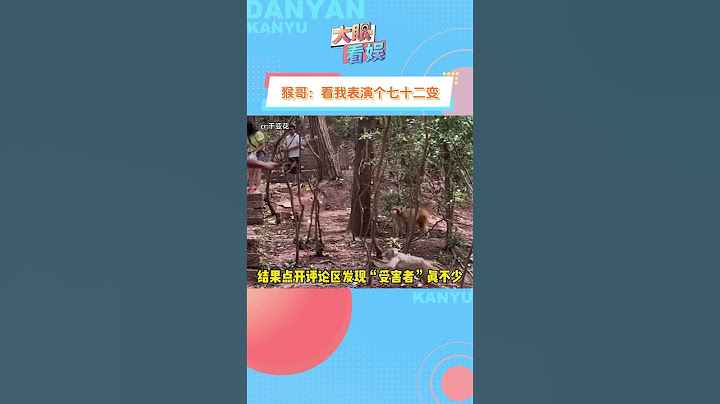 像我这样害怕被追着咬的小女孩，应该不会去了～#游客#猴子#shorts