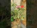 i love you maa 💕
