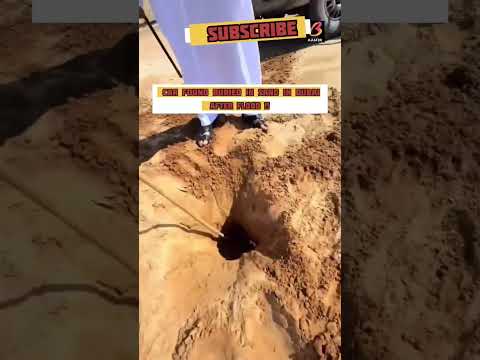 Dubai Flood| Car Found Burried In Sand #shorts #youtubeshorts #viral #viralshorts #shortsfeed #dubai