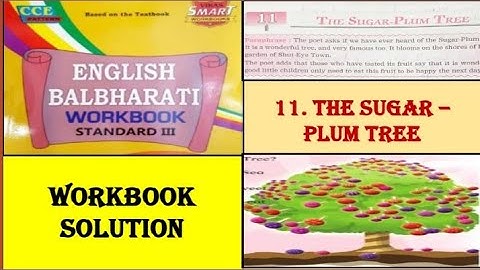 11. THE SUGAR - PLUM TREE 🌴 / Workbook Solution / Question and Answers / Standard 3rd / English Balb