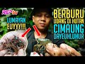 Berburu udang di hutan cimaung dayeuhluhur  konten gabut