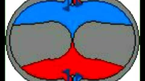 Reciprocating Internal Combustion Engine