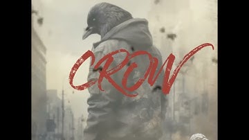 crow #blockchaintechnology #nft #POLYGON #cronos #staking #blockchain #WEB3 #tokenisation