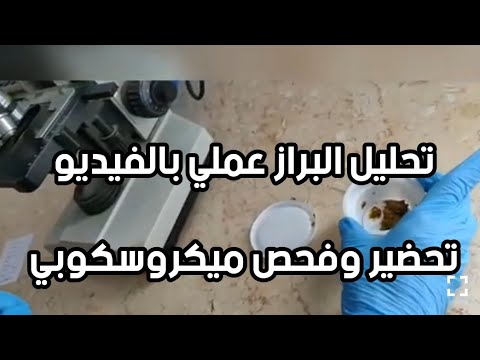 فيديو: ما هو اختبار الخروج؟