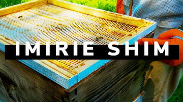 How do you use an Imirie Shim? | Beginner Beekeeper Episode 11
