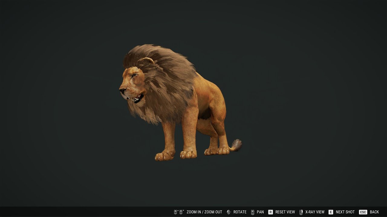 Vurhonga Savanna YouTube