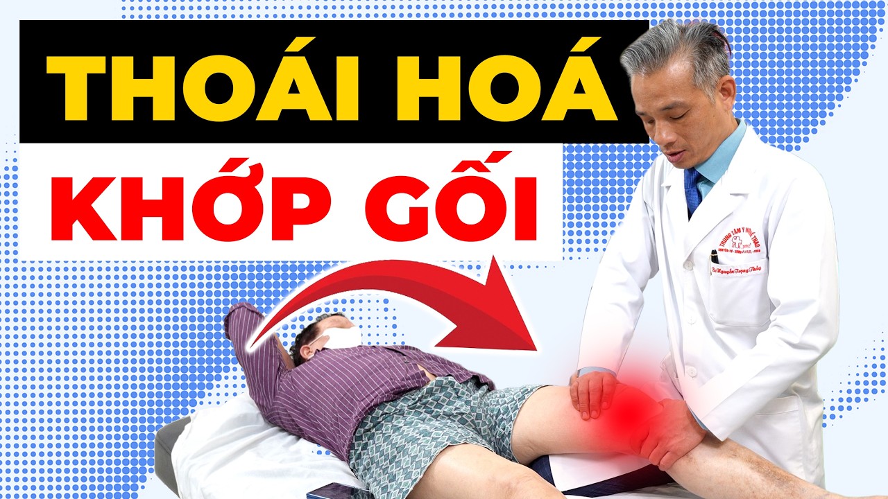 Thoái Hóa Khớp Gối: Đừng chờ đau mới chữa – Harvard cảnh báo điều này! | Y học Thể thao Starsmec