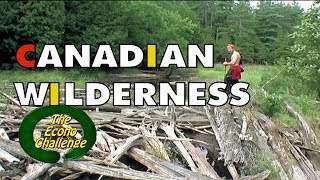 Day Hike In A Canadian Forest - Econo Challenge