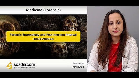 Forensic Entomology and Post-Mortem Interval - Forensic Entomology
