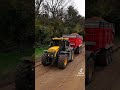arrachage de pommes de terre