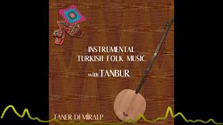 Taner Demiralp - Kırmızı Gül (Instrumental Turkish Folk Music with Tanbur) Resimi