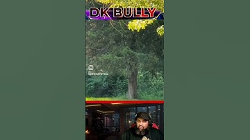 Thumbnail of UNBELIEVABLE CICADAS INFORMATION 🤔 #viral #funny #trend #wow #trending #goviral  #Cicadas #shorts