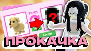 😱 прокачиваюсь от ОБЫЧНОГО питомца до ЛЕГЕНДАРНОГО! Adopt Me Roblox