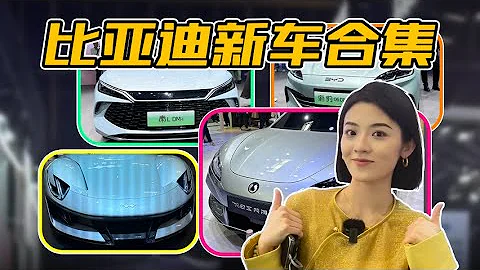 2024北京車展 比亞迪有哪些新車 - 天天要聞