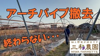 かなり大変・・、終わらない・・、ナスの片づけ。NO380