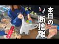 【断捨離】捨てるって何でこんなに大変なの!?【主婦/捨て活/メイク用品/ズボラ】