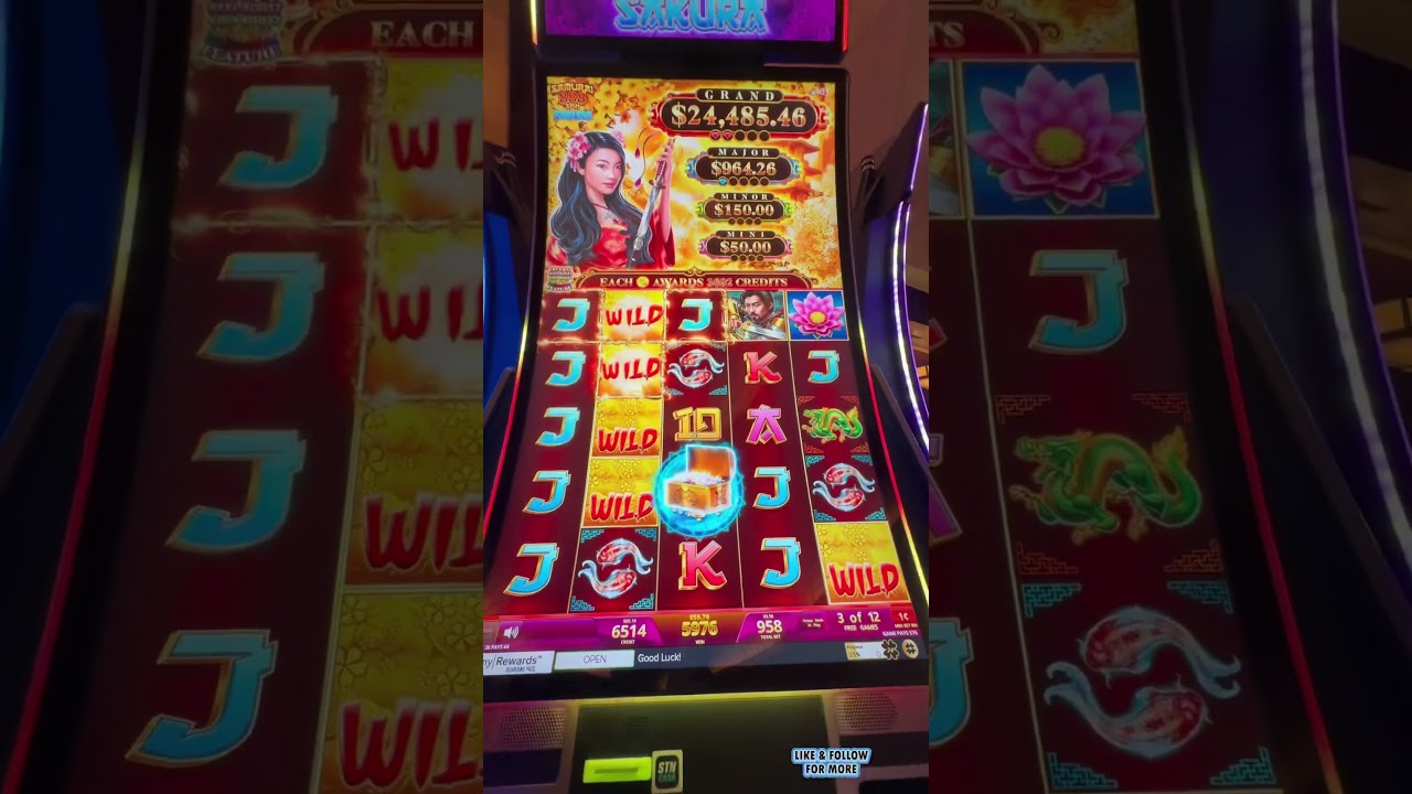 mu90 nhà cái uy tín I got all 3 bonus feature at Samurai 888 Spins Sakura! lasvegas casino slotmachine viralshorts