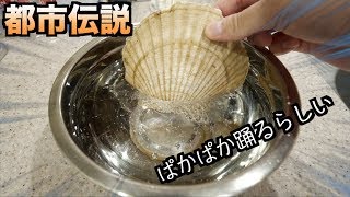 【都市伝説】ホタテの根元を炭酸水に浸けるとパカパカ踊り出すらしい