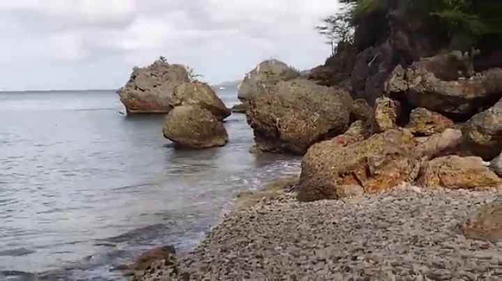 Crozier Caribbean Cruise (January 2016)