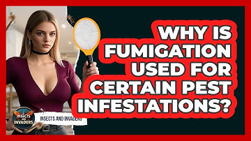 Why Is Fumigation Used For Certain Pest Infestations? - Insects and Invaders