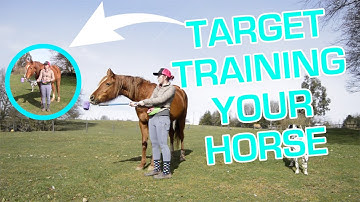 HORSE TARGET TRAINING || TRAINING YOUR HORSE WITH POSITIVE REINFORCEMENT ||