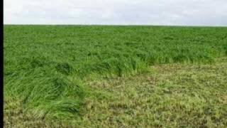 LA COMARCA DE LA SIDRA, PRINCIPADO DE ASTURIAS-ESPAÑA