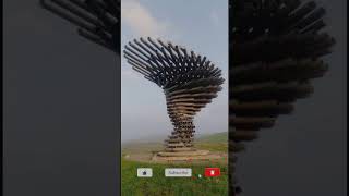 Singing Ringing Tree 😱😱🌴🌲😮😮Bengali। Unknown with Ranjan #shorts #youtubeshorts #viral #tree